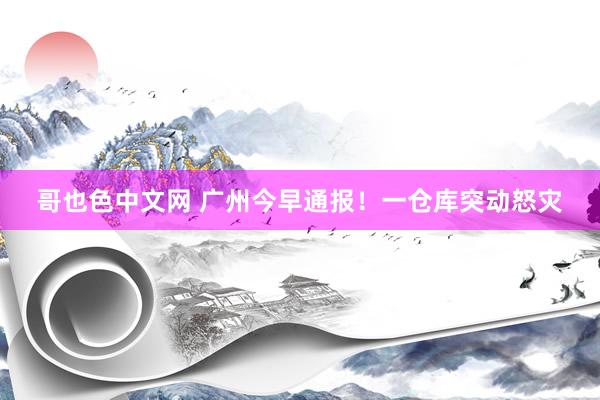 哥也色中文网 广州今早通报！一仓库突动怒灾