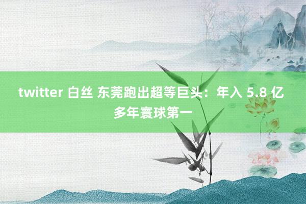 twitter 白丝 东莞跑出超等巨头：年入 5.8 亿 多年寰球第一