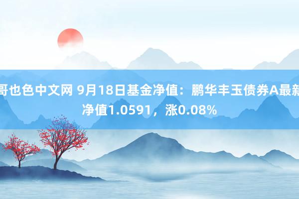 哥也色中文网 9月18日基金净值：鹏华丰玉债券A最新净值1.0591，涨0.08%