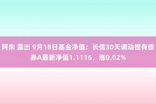 阿朱 露出 9月18日基金净值：长信30天调动捏有债券A最新净值1.1116，涨0.02%
