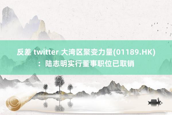 反差 twitter 大湾区聚变力量(01189.HK)：陆志明实行董事职位已取销