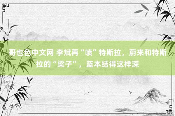 哥也色中文网 李斌再“喷”特斯拉，蔚来和特斯拉的“梁子”，蓝本结得这样深