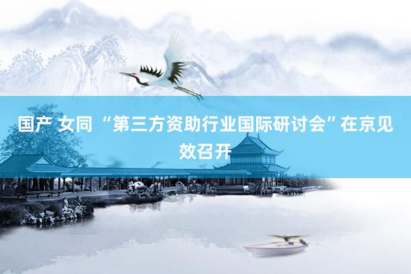 国产 女同 “第三方资助行业国际研讨会”在京见效召开