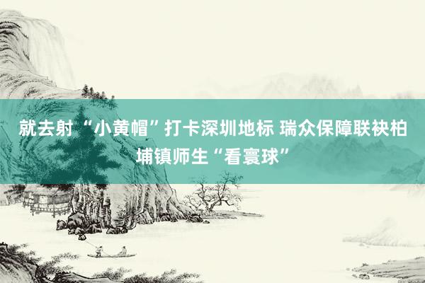 就去射 “小黄帽”打卡深圳地标 瑞众保障联袂柏埔镇师生“看寰球”