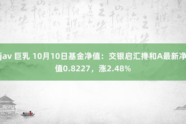 jav 巨乳 10月10日基金净值：交银启汇搀和A最新净值0.8227，涨2.48%