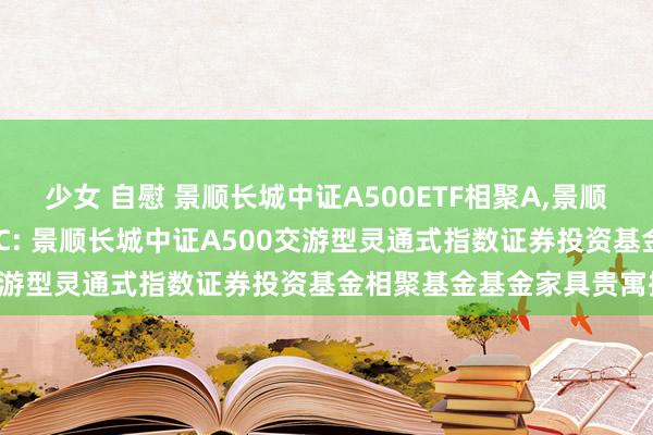 少女 自慰 景顺长城中证A500ETF相聚A,景顺长城中证A500ETF相聚C: 景顺长城中证A500交游型灵通式指数证券投资基金相聚基金基金家具贵寓摘要