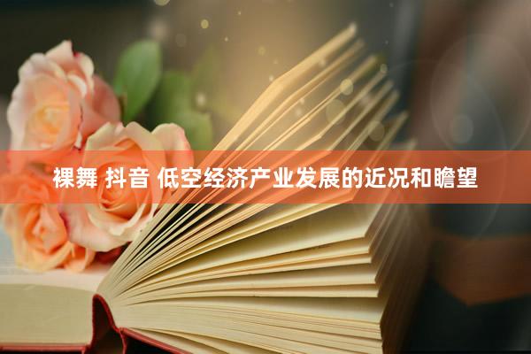 裸舞 抖音 低空经济产业发展的近况和瞻望