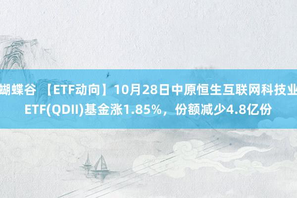 蝴蝶谷 【ETF动向】10月28日中原恒生互联网科技业ETF(QDII)基金涨1.85%，份额减少4.8亿份