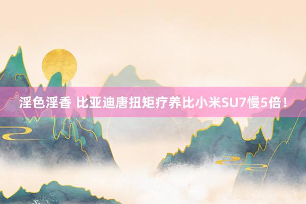 淫色淫香 比亚迪唐扭矩疗养比小米SU7慢5倍！