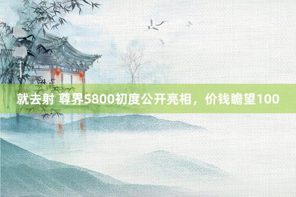 就去射 尊界S800初度公开亮相，价钱瞻望100