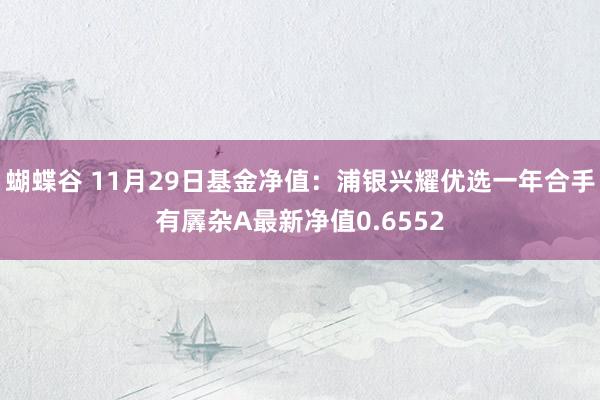 蝴蝶谷 11月29日基金净值：浦银兴耀优选一年合手有羼杂A最新净值0.6552