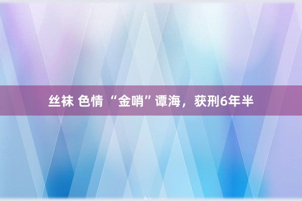 丝袜 色情 “金哨”谭海，获刑6年半