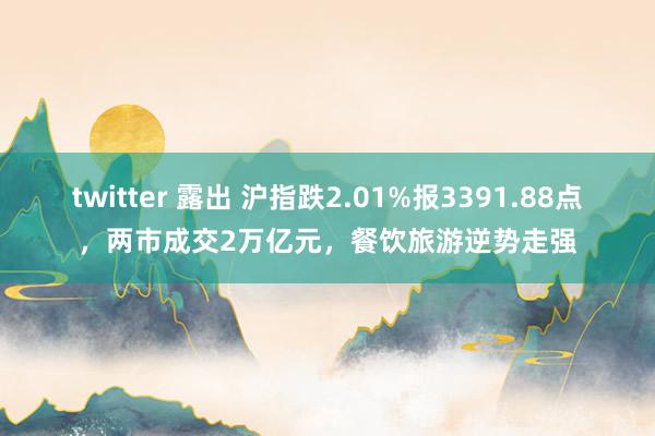 twitter 露出 沪指跌2.01%报3391.88点，两市成交2万亿元，餐饮旅游逆势走强