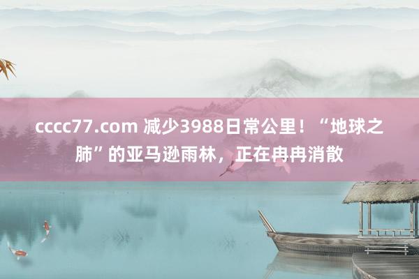 cccc77.com 减少3988日常公里！“地球之肺”的亚马逊雨林，正在冉冉消散