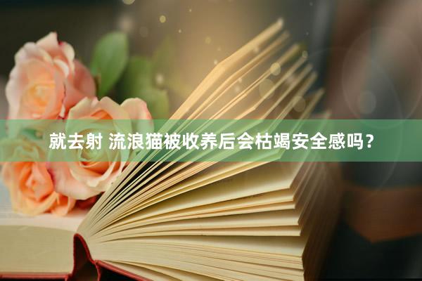 就去射 流浪猫被收养后会枯竭安全感吗？