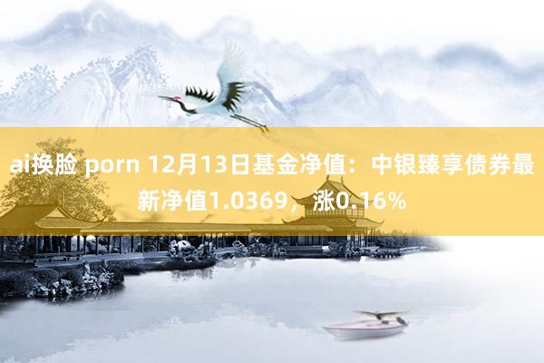ai换脸 porn 12月13日基金净值：中银臻享债券最新净值1.0369，涨0.16%