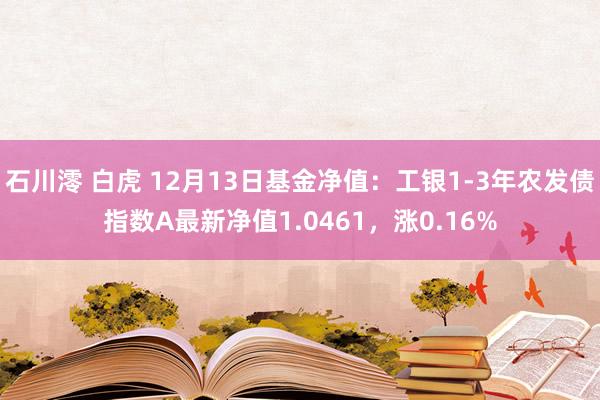 石川澪 白虎 12月13日基金净值：工银1-3年农发债指数A最新净值1.0461，涨0.16%