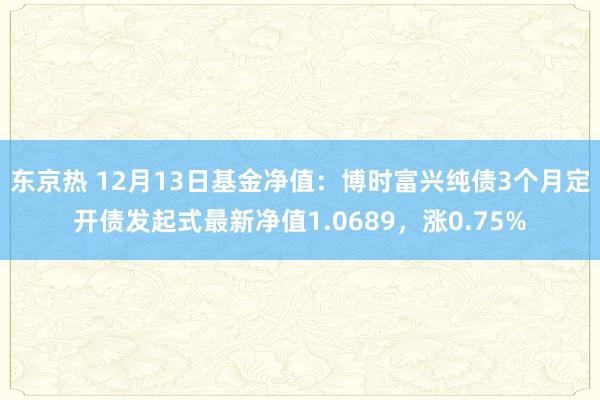 东京热 12月13日基金净值：博时富兴纯债3个月定开债发起式最新净值1.0689，涨0.75%