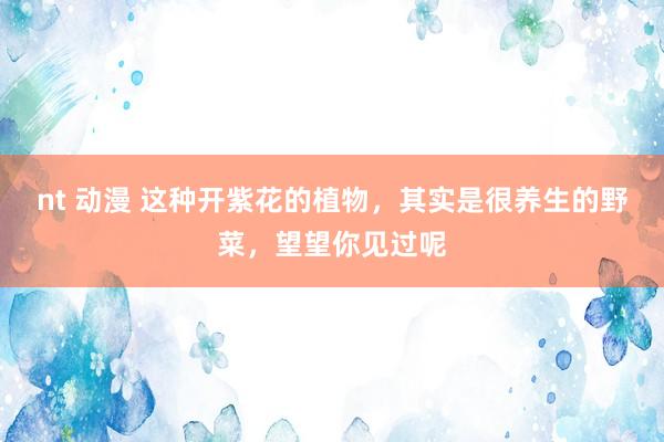 nt 动漫 这种开紫花的植物，其实是很养生的野菜，望望你见过呢