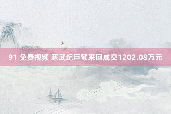 91 免费视频 寒武纪巨额来回成交1202.08万元