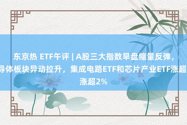 东京热 ETF午评 | A股三大指数早盘缩量反弹，半导体板块异动拉升，集成电路ETF和芯片产业ETF涨超2%