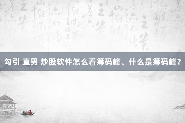 勾引 直男 炒股软件怎么看筹码峰、什么是筹码峰？