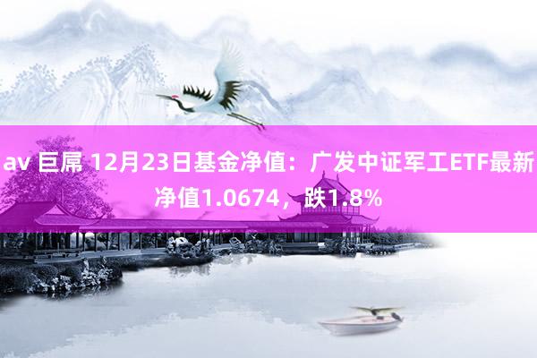 av 巨屌 12月23日基金净值：广发中证军工ETF最新净值1.0674，跌1.8%