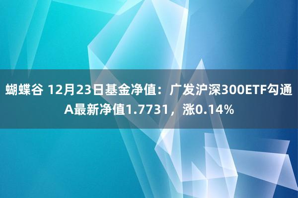 蝴蝶谷 12月23日基金净值：广发沪深300ETF勾通A最新净值1.7731，涨0.14%