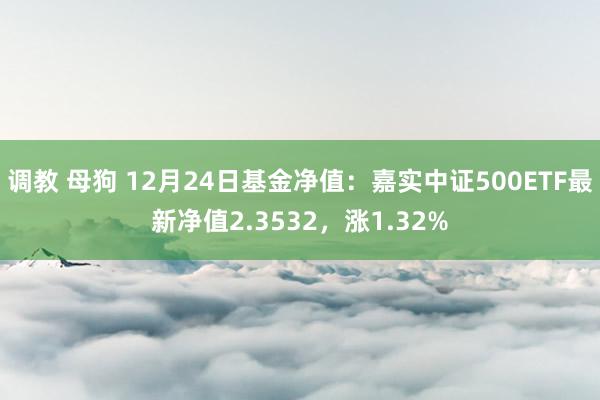 调教 母狗 12月24日基金净值：嘉实中证500ETF最新净值2.3532，涨1.32%