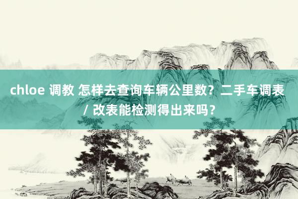 chloe 调教 怎样去查询车辆公里数？二手车调表 / 改表能检测得出来吗？