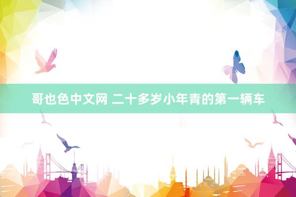 哥也色中文网 二十多岁小年青的第一辆车