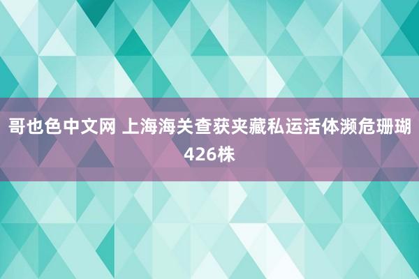 哥也色中文网 上海海关查获夹藏私运活体濒危珊瑚426株