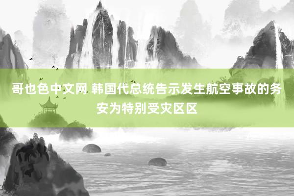 哥也色中文网 韩国代总统告示发生航空事故的务安为特别受灾区区