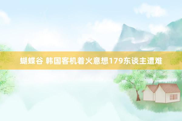 蝴蝶谷 韩国客机着火意想179东谈主遭难