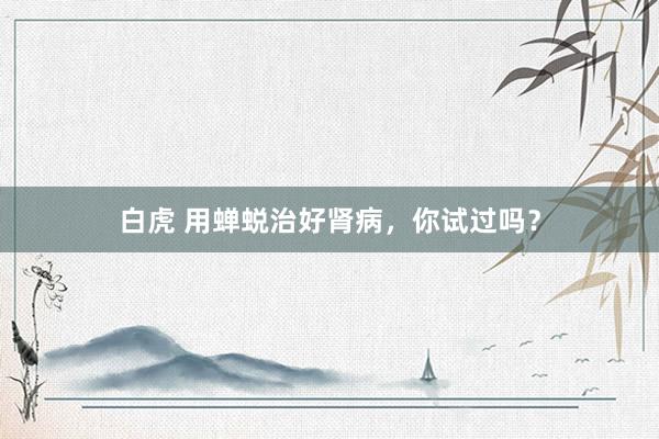 白虎 用蝉蜕治好肾病，你试过吗？
