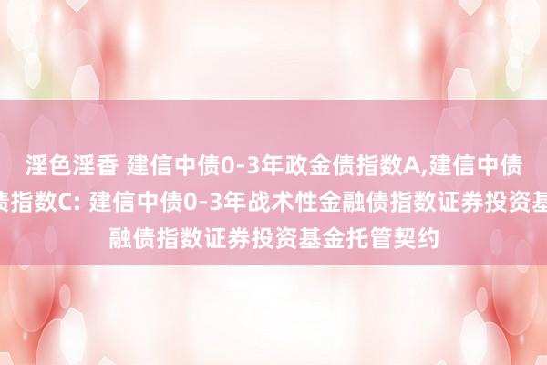 淫色淫香 建信中债0-3年政金债指数A，建信中债0-3年政金债指数C: 建信中债0-3年战术性金融债指数证券投资基金托管契约