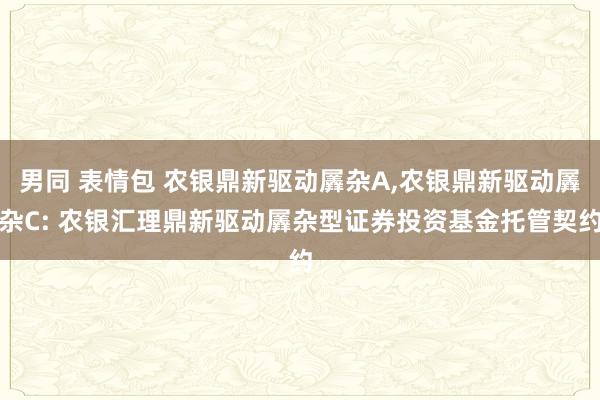 男同 表情包 农银鼎新驱动羼杂A，农银鼎新驱动羼杂C: 农银汇理鼎新驱动羼杂型证券投资基金托管契约