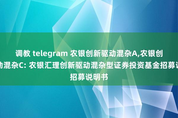 调教 telegram 农银创新驱动混杂A，农银创新驱动混杂C: 农银汇理创新驱动混杂型证券投资基金招募说明书