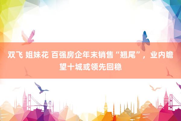 双飞 姐妹花 百强房企年末销售“翘尾”，业内瞻望十城或领先回稳