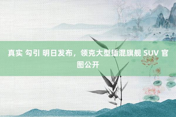 真实 勾引 明日发布，领克大型插混旗舰 SUV 官图公开