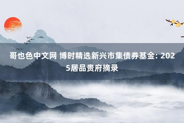 哥也色中文网 博时精选新兴市集债券基金: 2025居品贵府摘录
