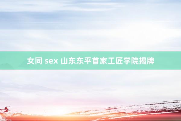 女同 sex 山东东平首家工匠学院揭牌