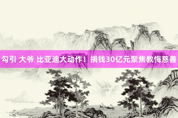 勾引 大爷 比亚迪大动作！捐钱30亿元聚焦教悔慈善