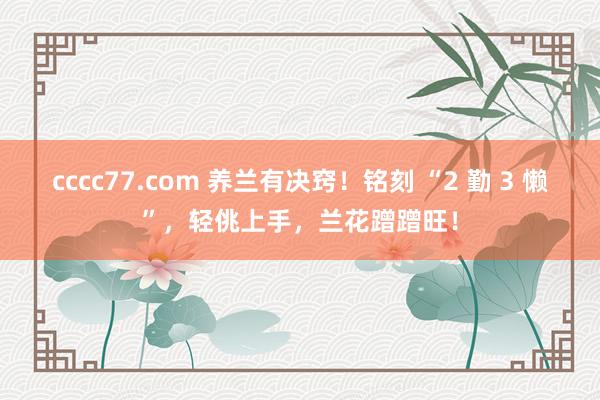 cccc77.com 养兰有决窍！铭刻 “2 勤 3 懒”，轻佻上手，兰花蹭蹭旺！