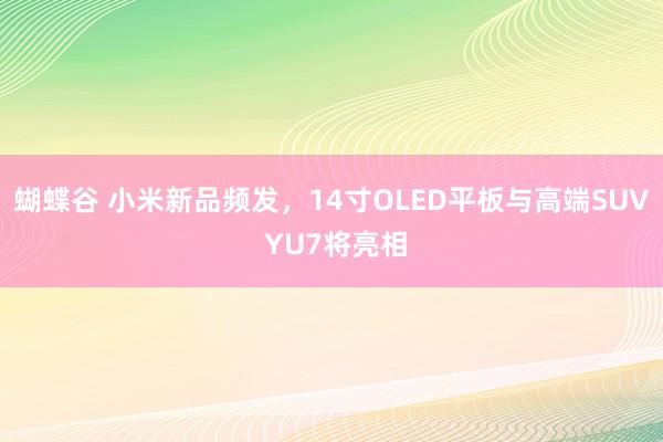 蝴蝶谷 小米新品频发，14寸OLED平板与高端SUV YU7将亮相