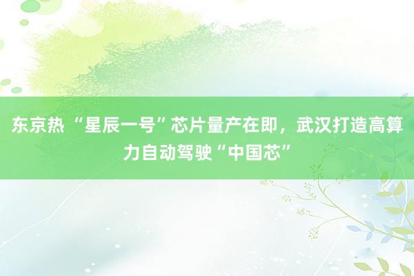东京热 “星辰一号”芯片量产在即，武汉打造高算力自动驾驶“中国芯”