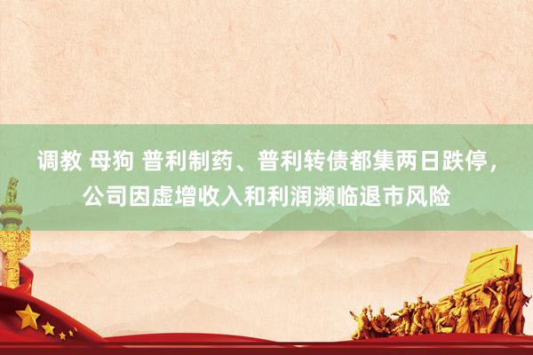 调教 母狗 普利制药、普利转债都集两日跌停，公司因虚增收入和利润濒临退市风险