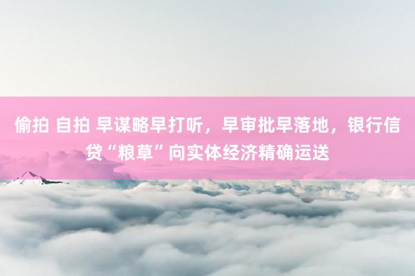 偷拍 自拍 早谋略早打听，早审批早落地，银行信贷“粮草”向实体经济精确运送