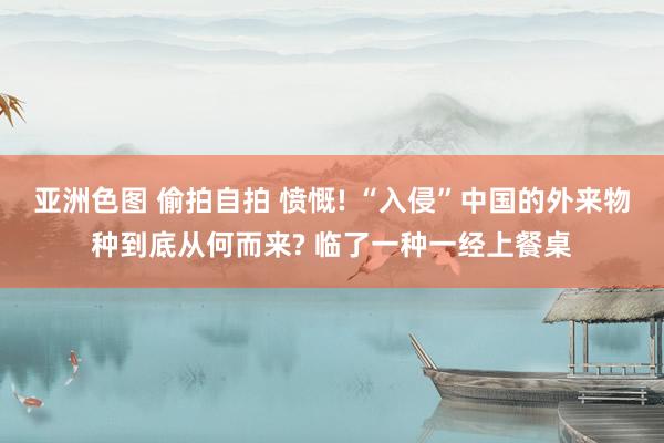 亚洲色图 偷拍自拍 愤慨! “入侵”中国的外来物种到底从何而来? 临了一种一经上餐桌