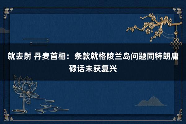 就去射 丹麦首相：条款就格陵兰岛问题同特朗庸碌话未获复兴